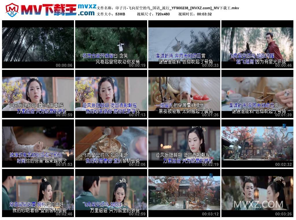 印子月-飞向星空的鸟_国语_流行_YF900238